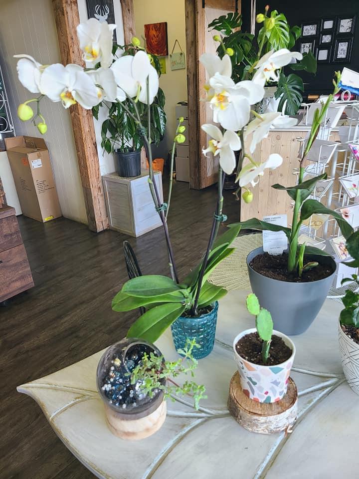 Fleurs d'anniversaire Sherbrooke